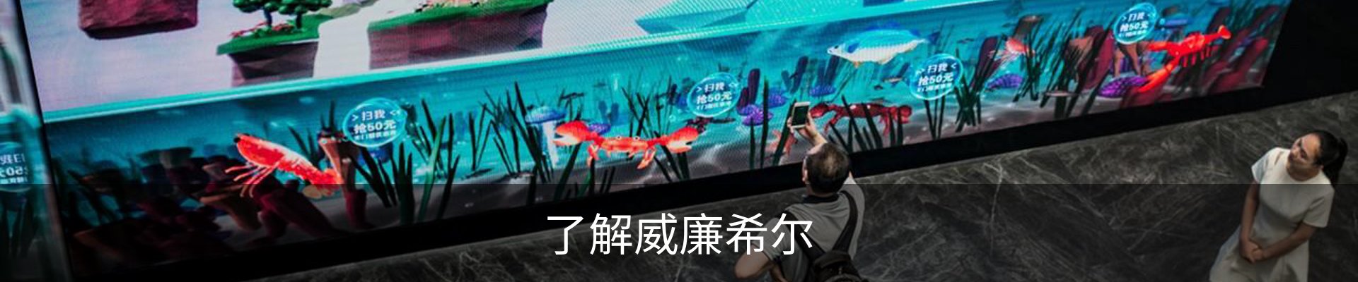 了解威廉希尔