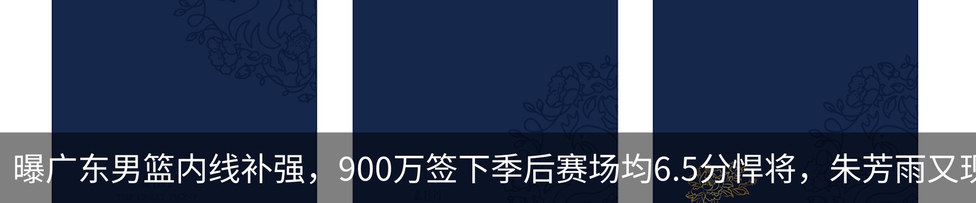 最新动态